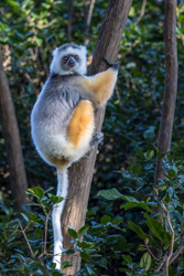 Madagascar 2022